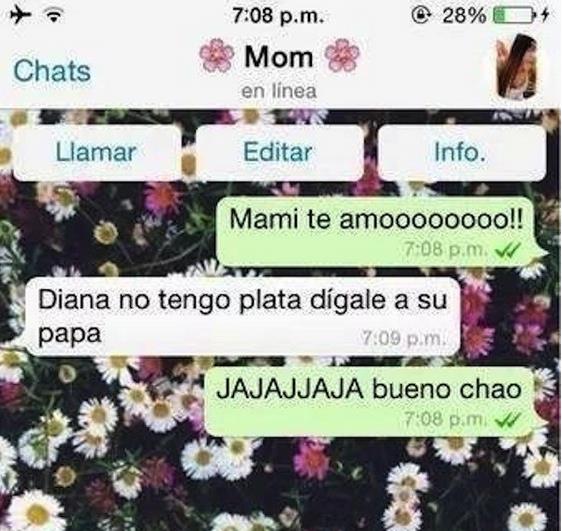 Las 20 Conversaciones Más Divertidas De Whatsapp 9180