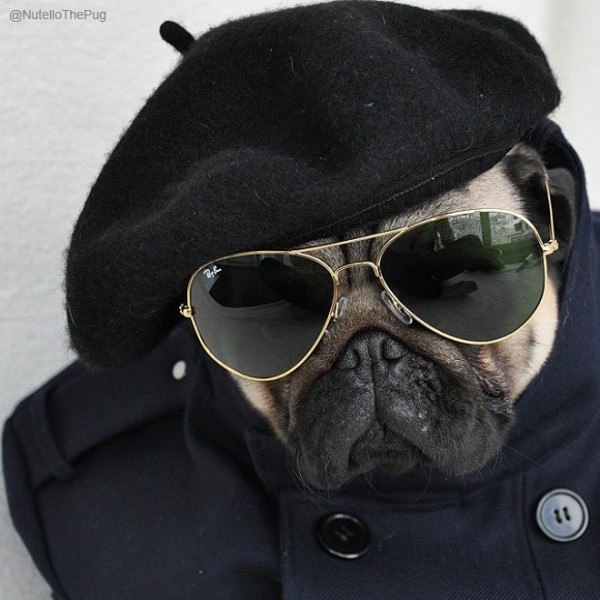 pug1-L