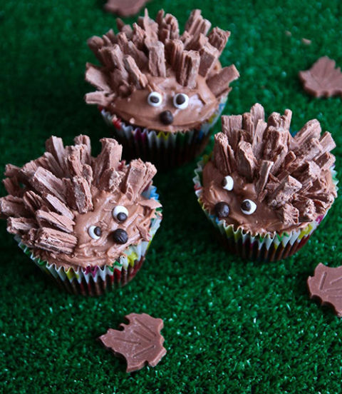 54ebeb9f5d99e_-_wd-16-hedgehog-cupcakes-xl