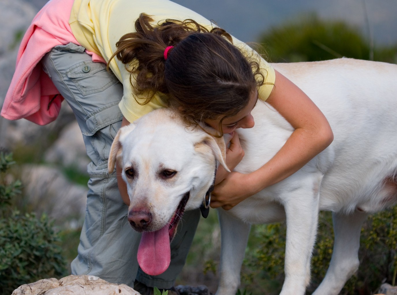 hugging dog