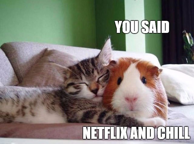 netflix and chill