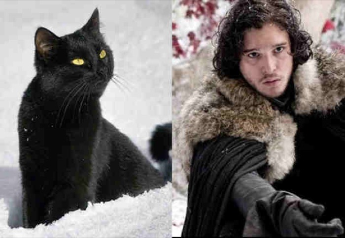 jon snow