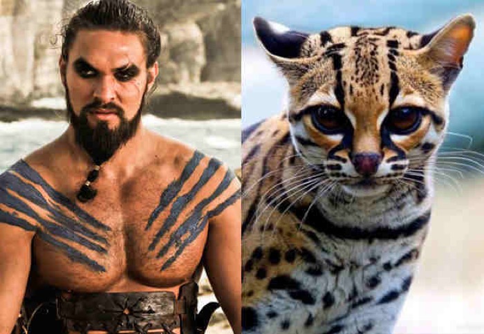 khal drogo