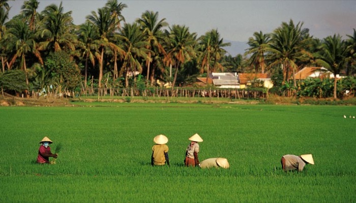 vietnam