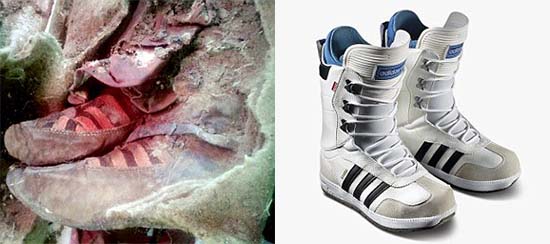 hacer los deberes solidaridad cubo Hallan momia de 1500 años de antigüedad vistiendo zapatos Adidas - Bocalista
