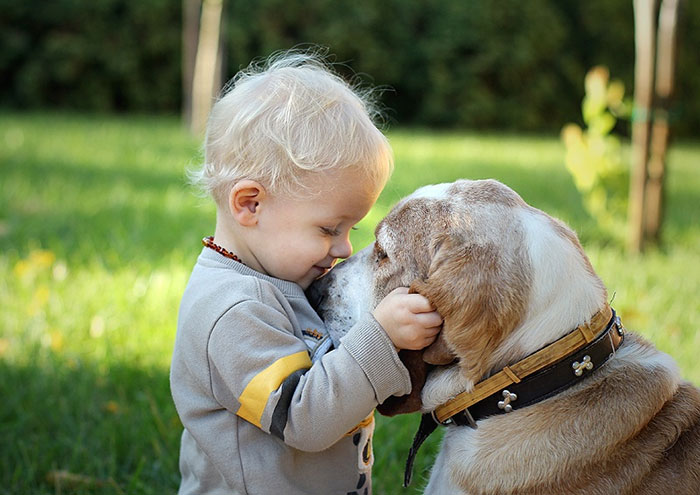 todos los niños deben crecer con un perro 19