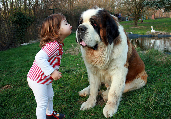 todos los niños deben crecer con un perro 8