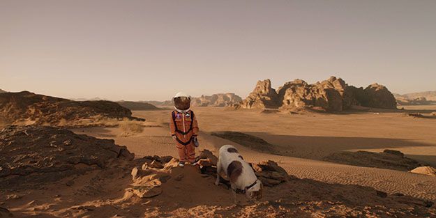 niño pasea perro en traje astronauta y le hacen photoshop 2